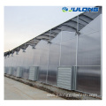 Hydroponics agriculture productive agriculture greenhouses